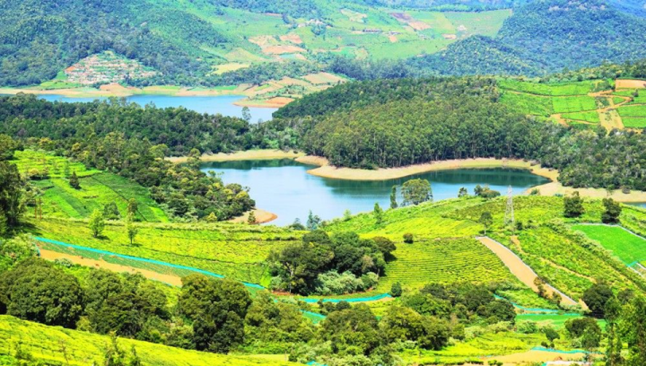 Munnar Thekkady Special Tour Package